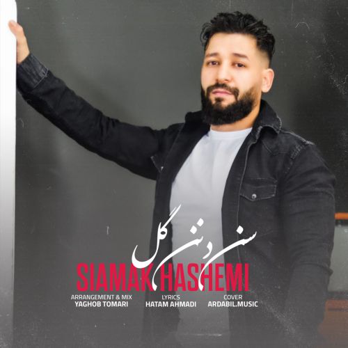 سیامک هاشمی سن دنن گل